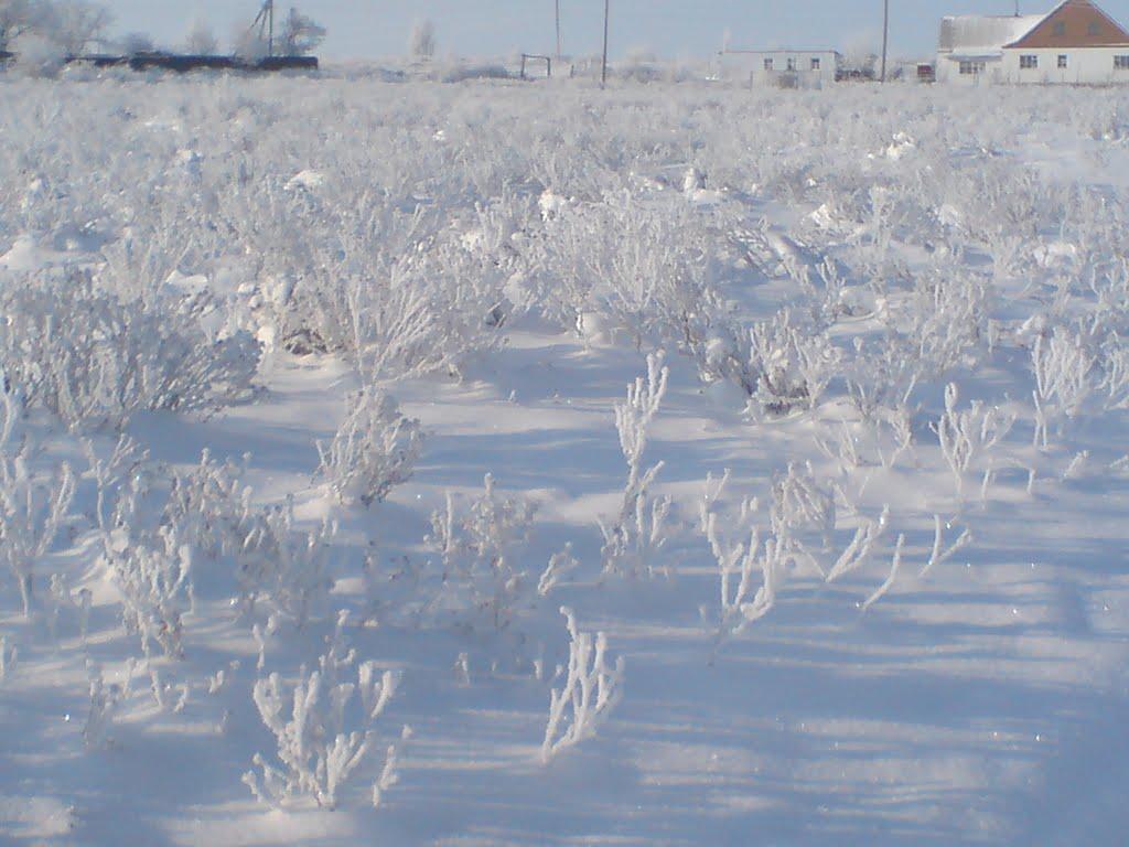 Сливине з panoramio.com - Сливине