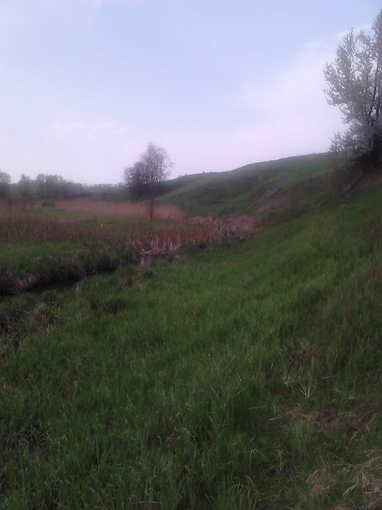 Капустинці з panoramio.com - Капустинці