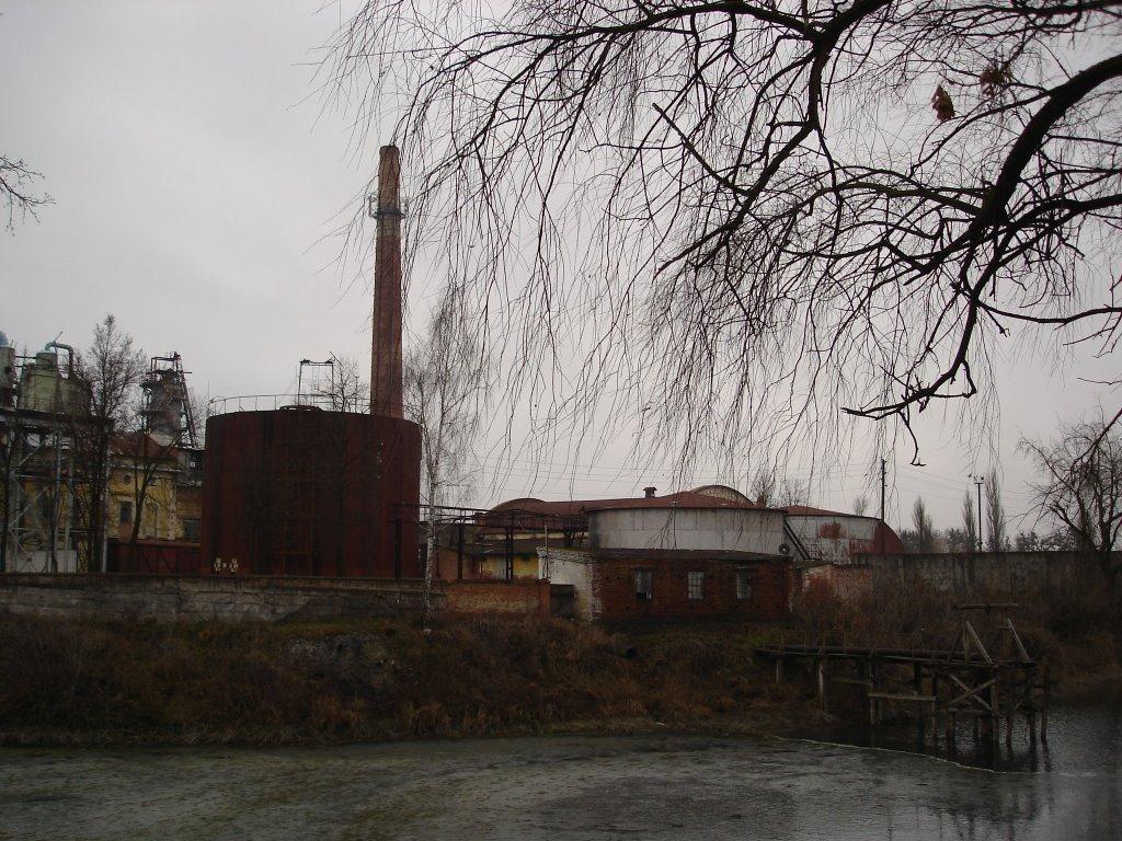 Низи з panoramio.com - Низи