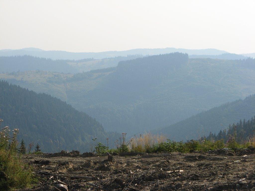 Долішній Шепіт з panoramio.com - Долишний Шепот