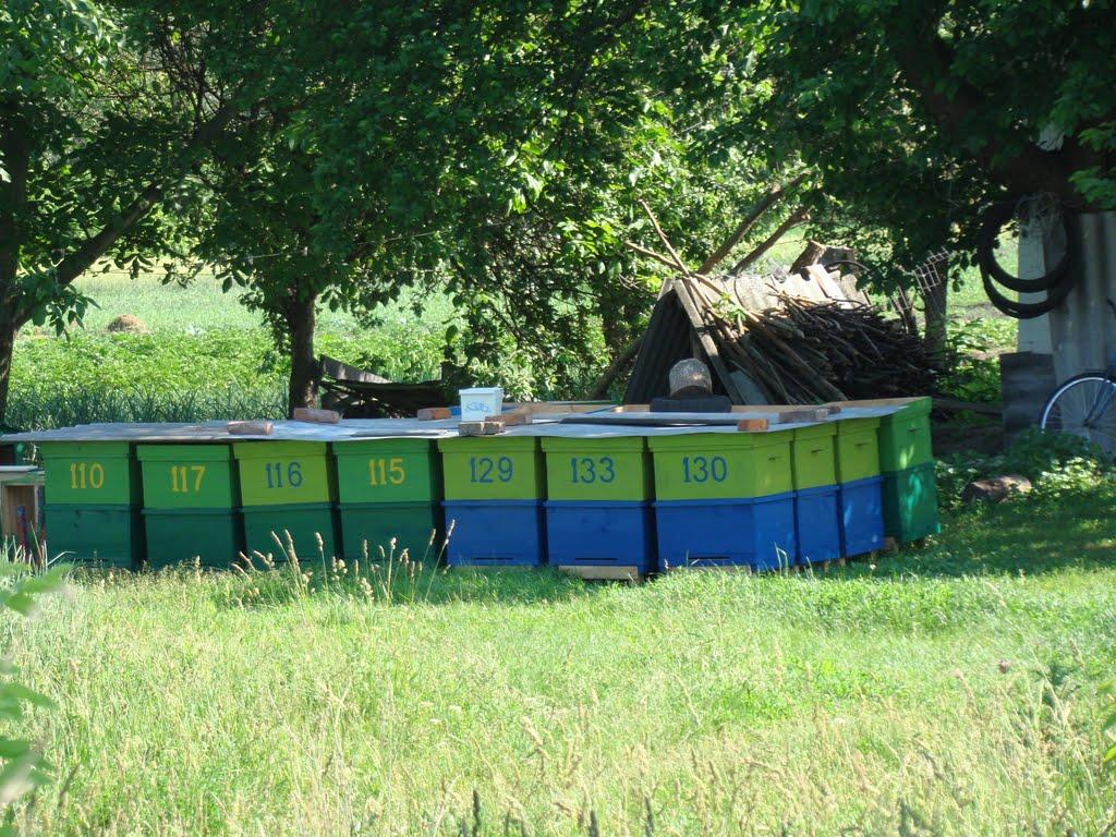 Горошине з panoramio.com - Goroshyne