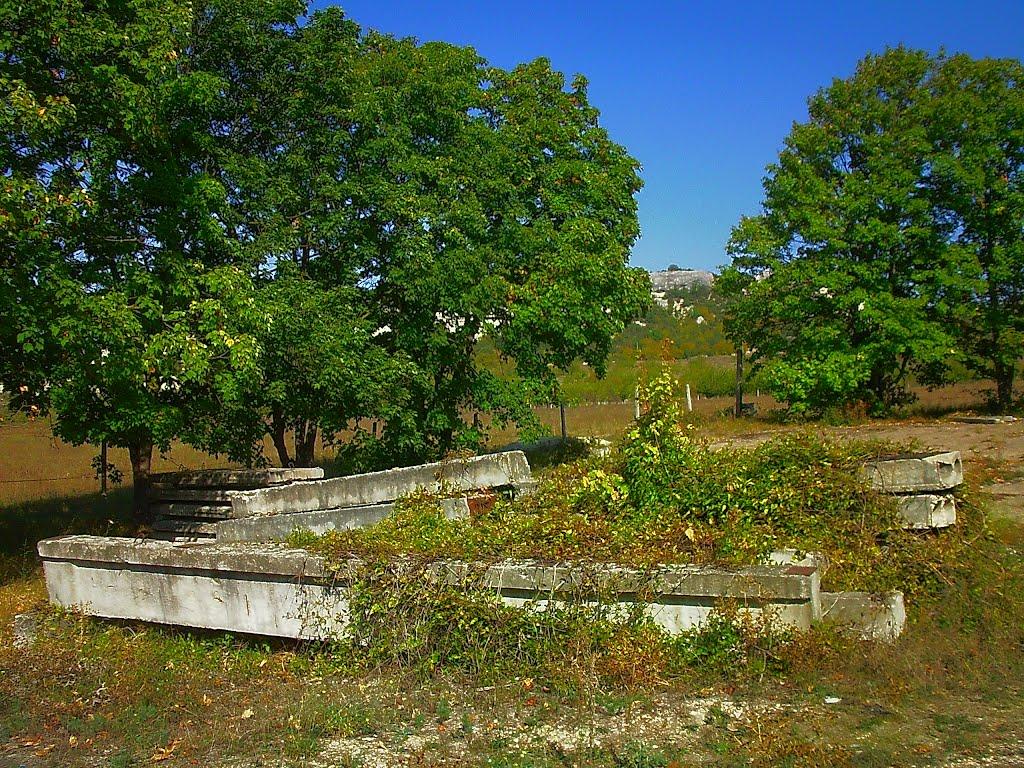 Красний Мак з panoramio.com - Красный Мак