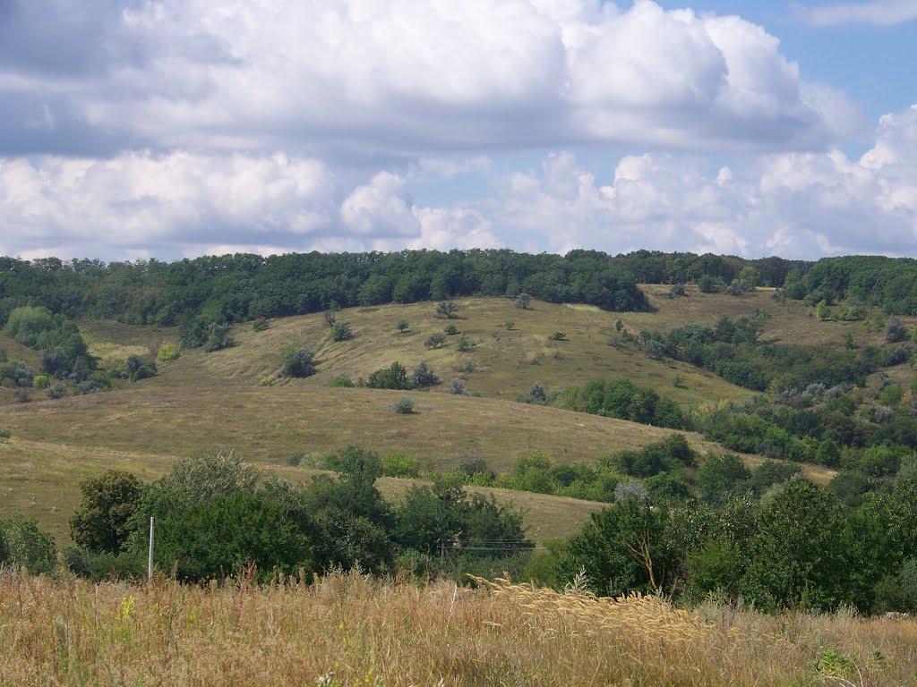 Гуляйгородок з panoramio.com - Гуляйгородок