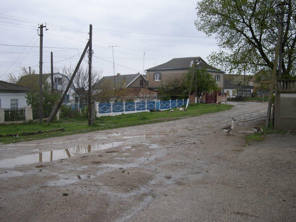 Білогірськ з panoramio.com - Белогорск