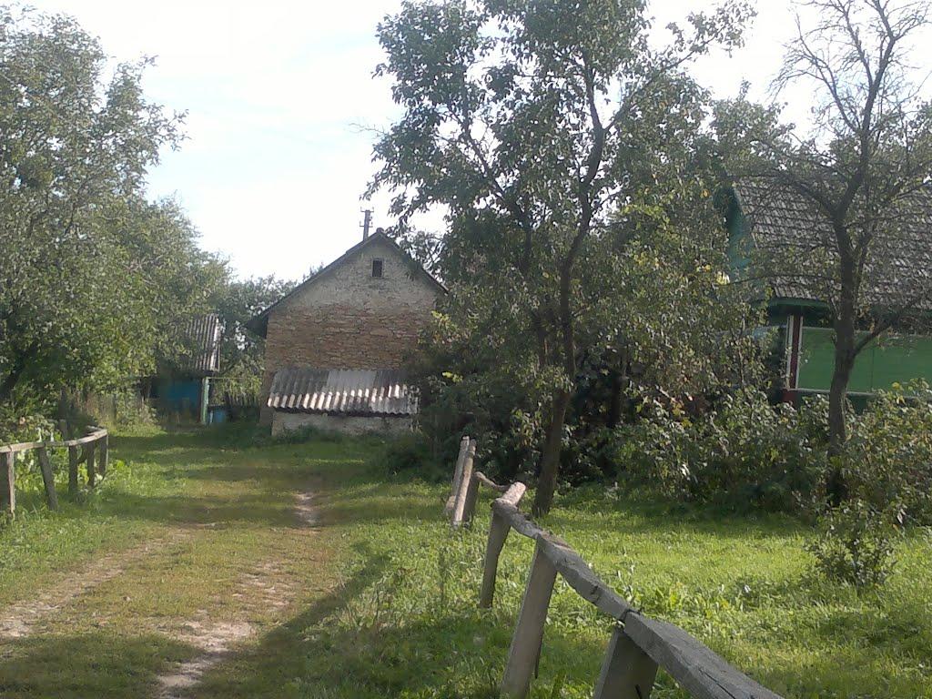 Нова Мощаниця з panoramio.com - Нова Мощаниця