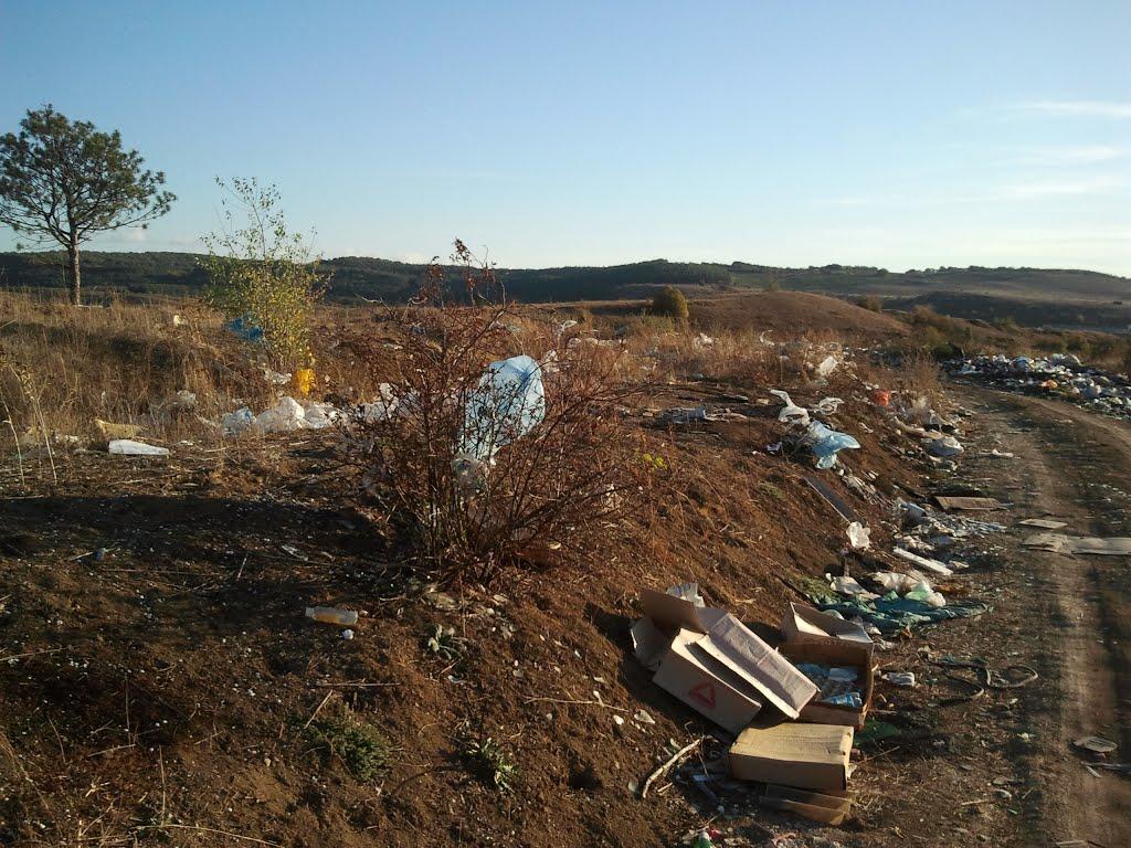 Некрасовка з panoramio.com - Некрасовка