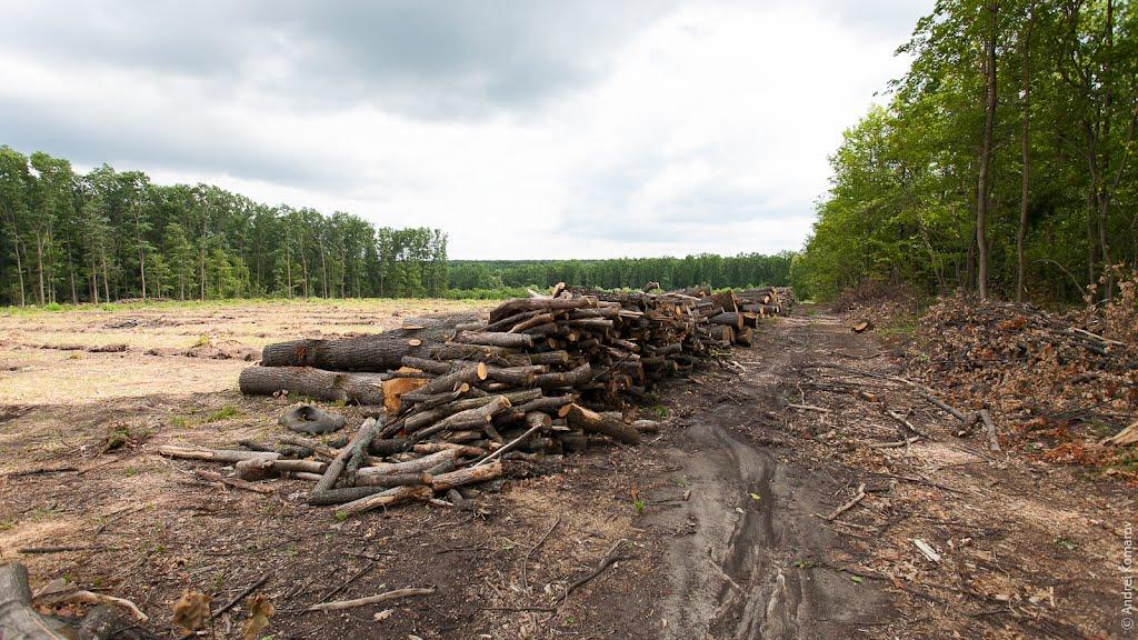 Руські Тишки з panoramio.com - Ruski Tyshky