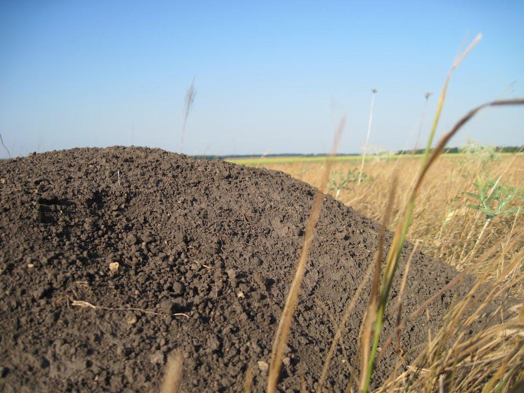 Григорівка з panoramio.com - Григорівка