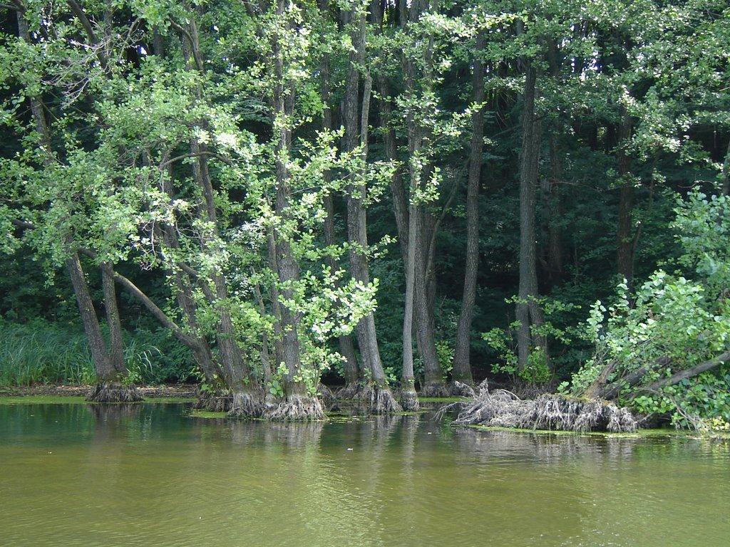 Люботин з panoramio.com (ч.2) - Люботин