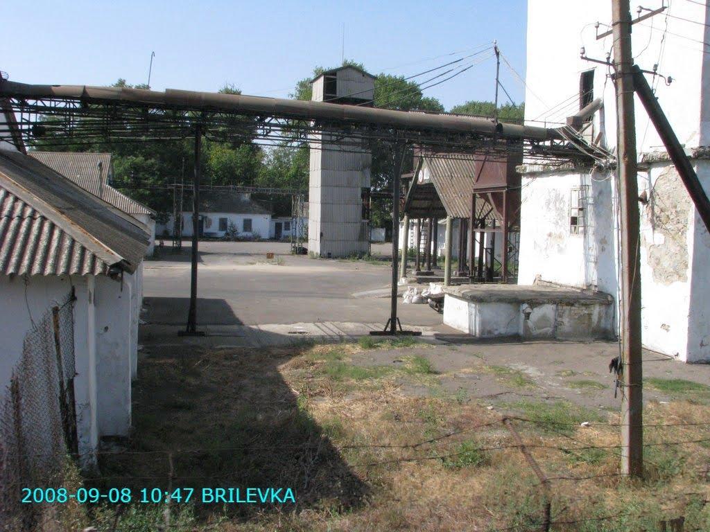 Брилівка з panoramio.com - Брилівка