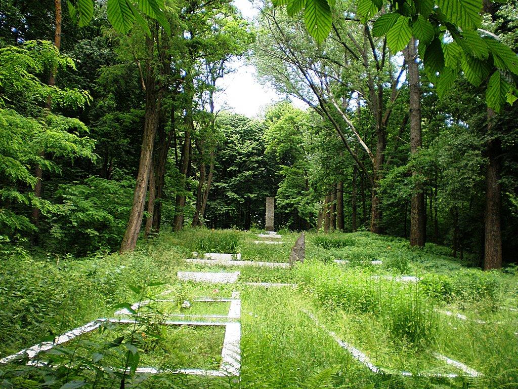 Рава-Руська з panoramio.com - Рава-Русская