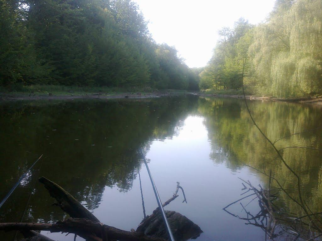 Левківці з panoramio.com - Левківці