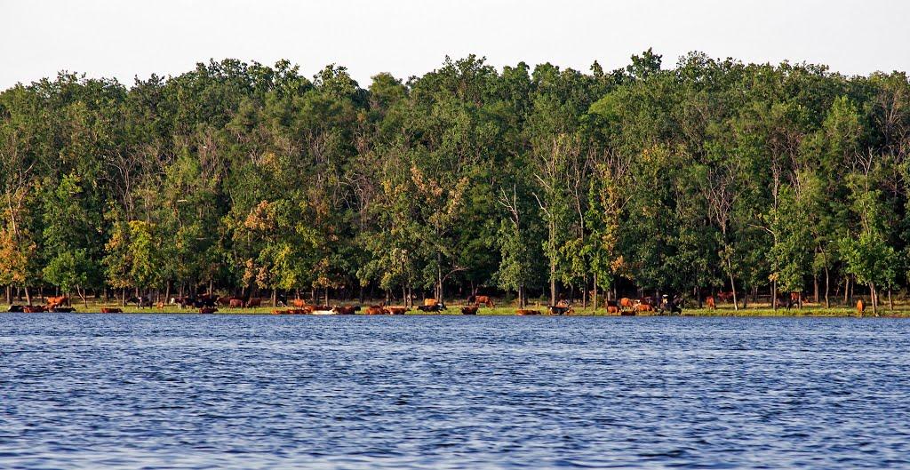 Кіровка з panoramio.com - Даниловка