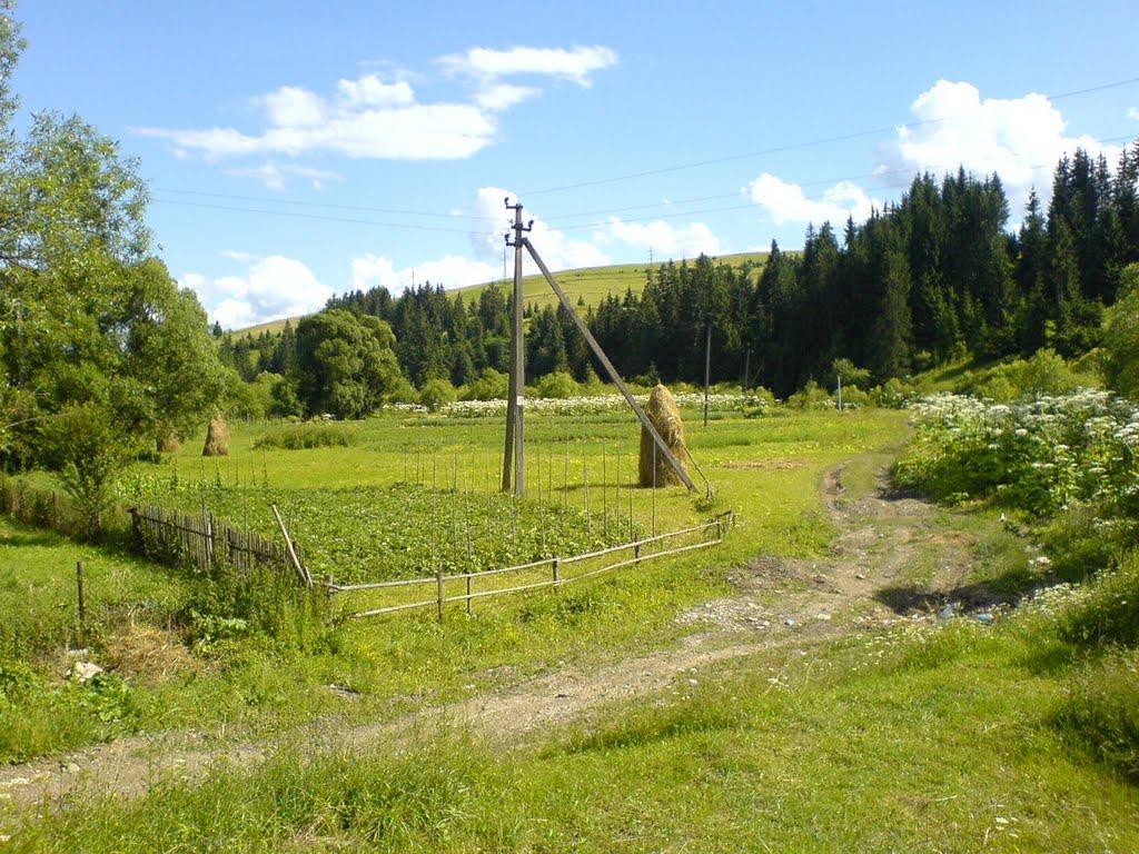 Пилипець з panoramio.com - Пилипець