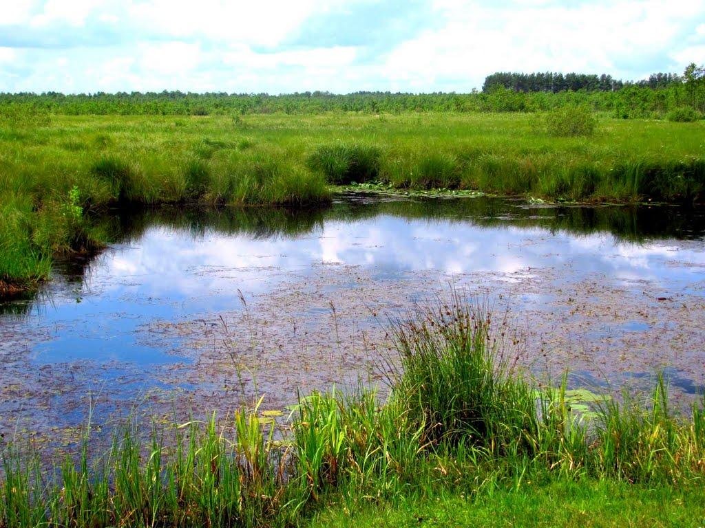 Озерці з panoramio.com - Озерці