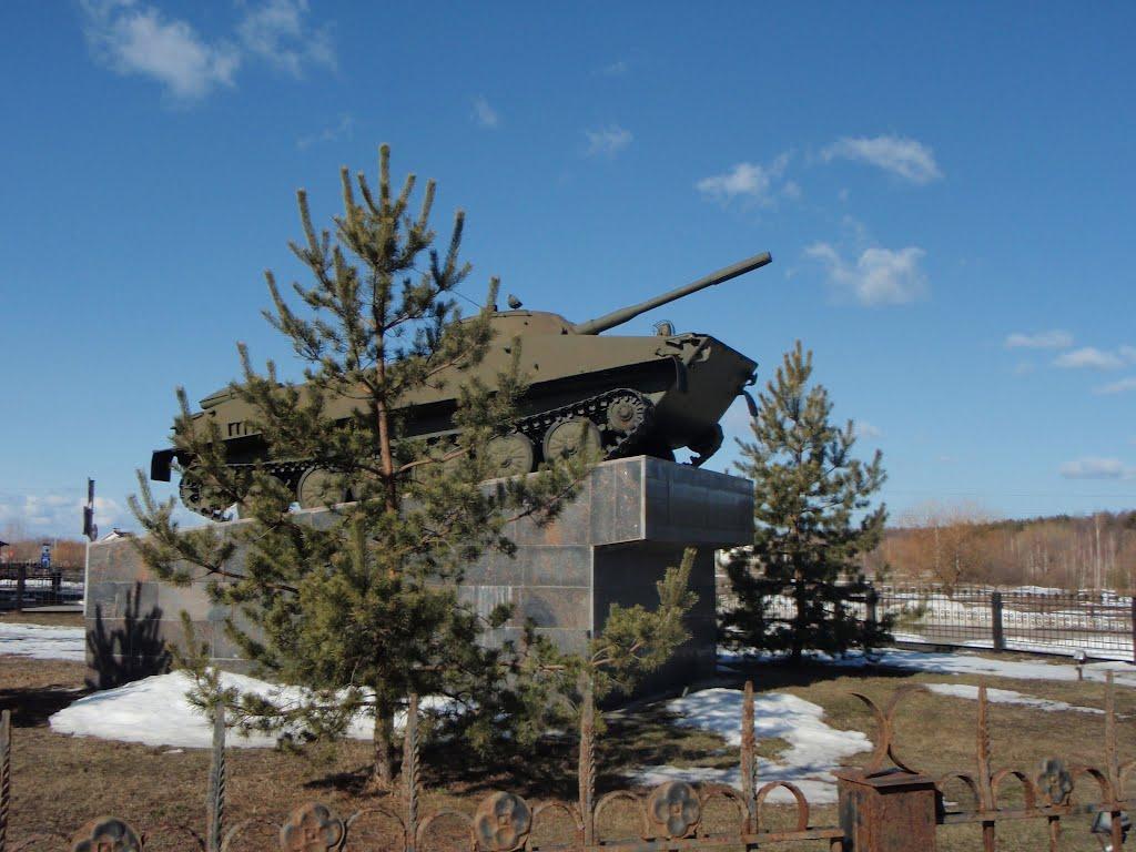 Сінгури з panoramio.com - Сінгури