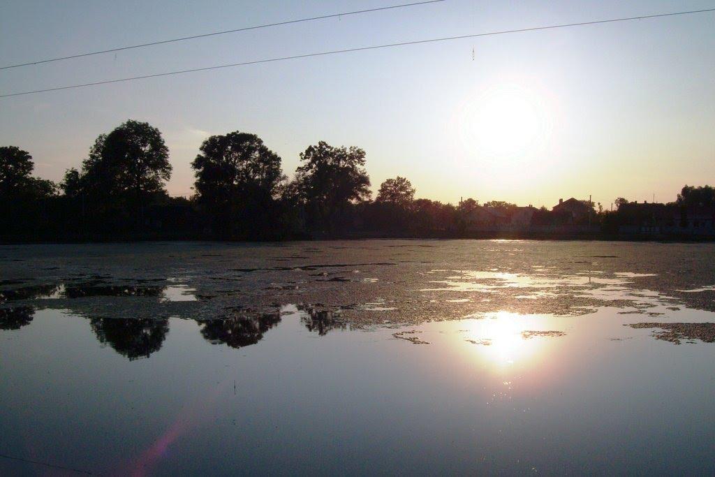 Пустомити з panoramio.com - Pustomyty