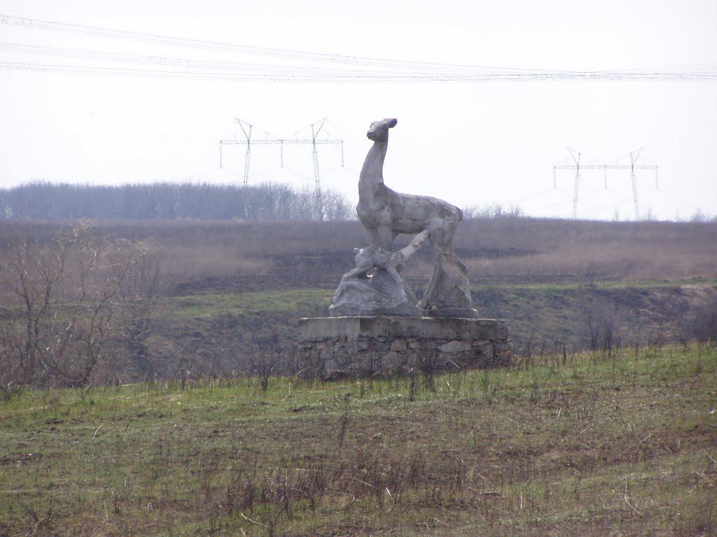 Опитне з panoramio.com - Опитное