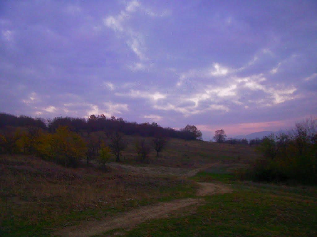 Плотинне з panoramio.com - Плотинное