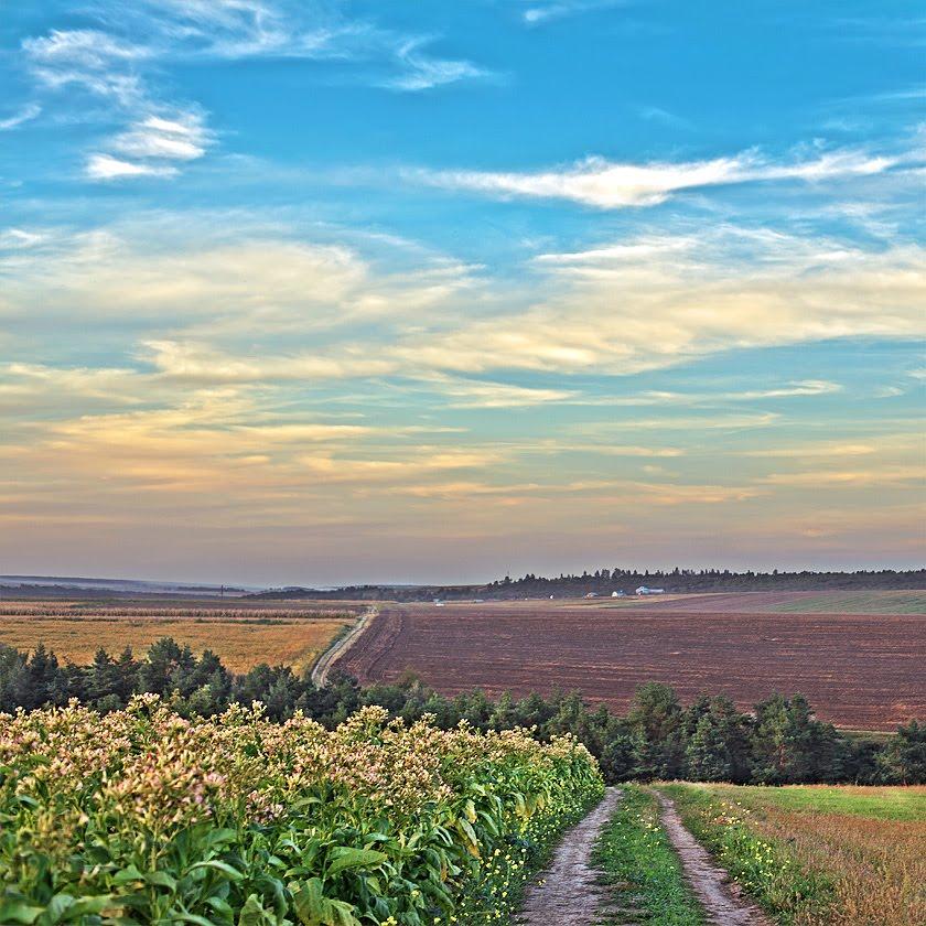 Верхняківці з panoramio.com - Верхняківці