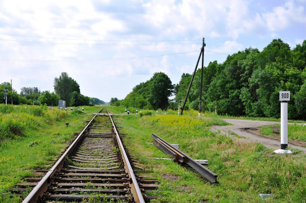 Шульгинка з panoramio.com - Shulgynka