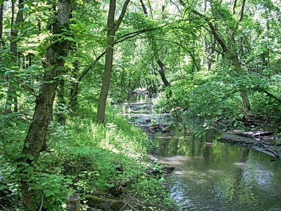 Ровеньки з panoramio.com - Ровеньки