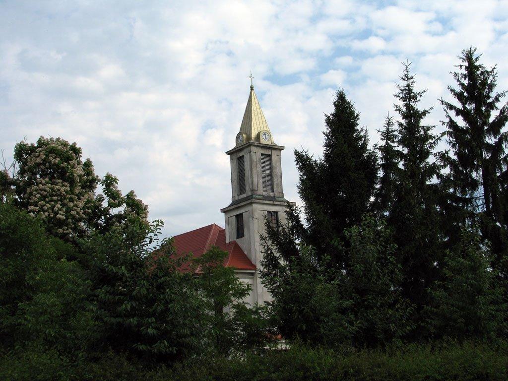 Біла Церква з panoramio.com - Біла Церква