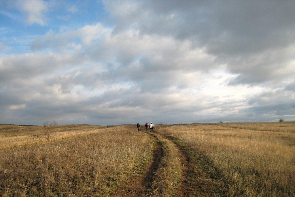 Мала Мартинівка з panoramio.com - Малая Мартыновка