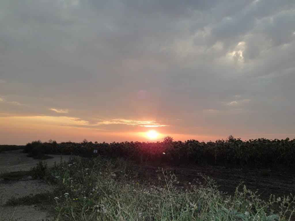 Шевченківка з panoramio.com - Шевченківка