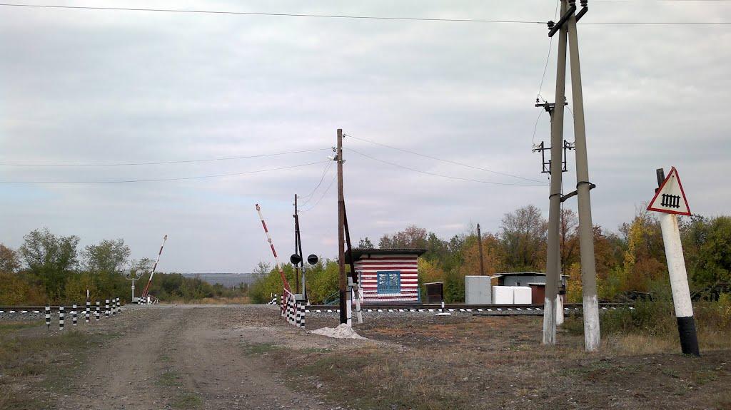 Замостя з panoramio.com - Zamostya