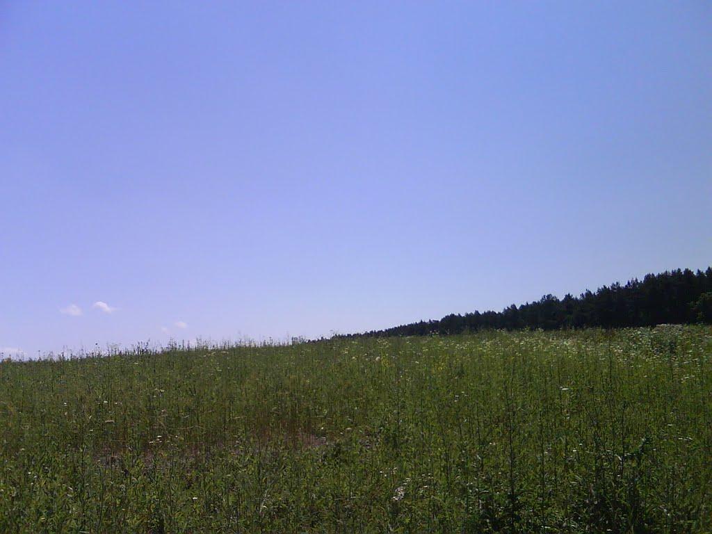 Радянське з panoramio.com - Радянське