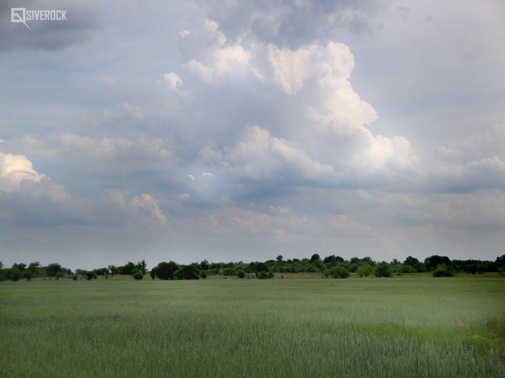 Дідівці з panoramio.com - Дідівці