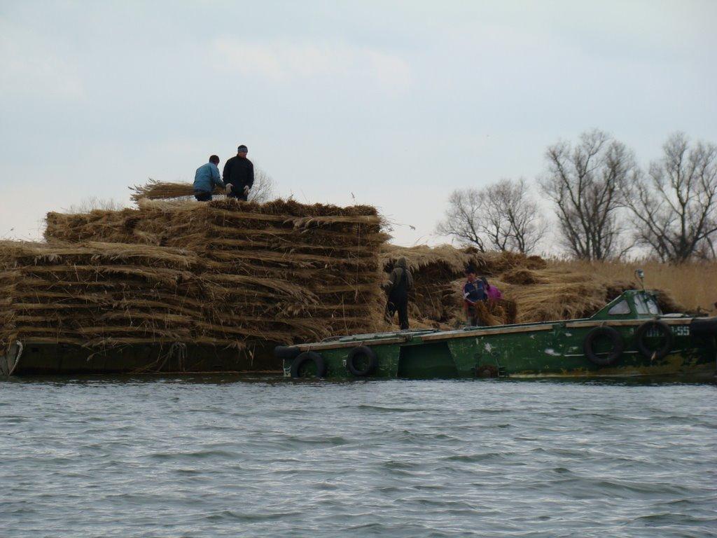 Маяки з panoramio.com - Маяки