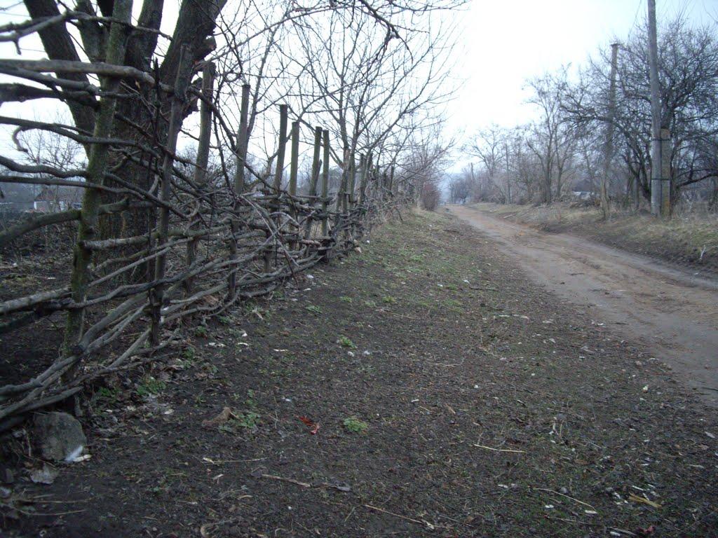 Арбузинка з panoramio.com - Арбузинка