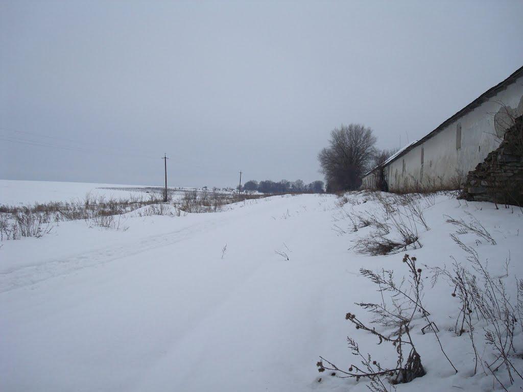 Борщівка з panoramio.com - Борщівка