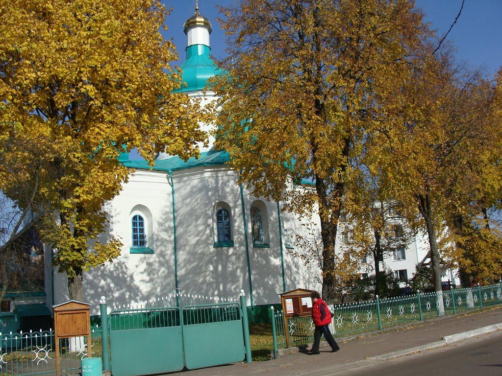 Олевськ з panoramio.com - Олевськ