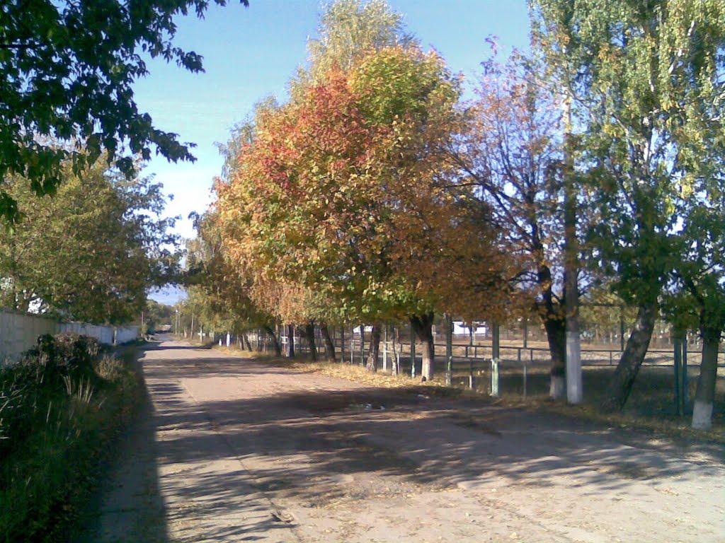 Ізяслав з panoramio.com - Изяслав