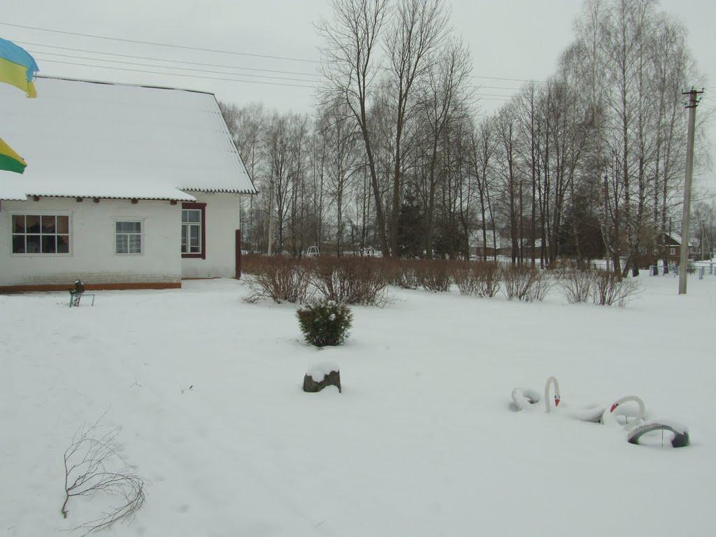 Березна Воля з panoramio.com - Березна Воля