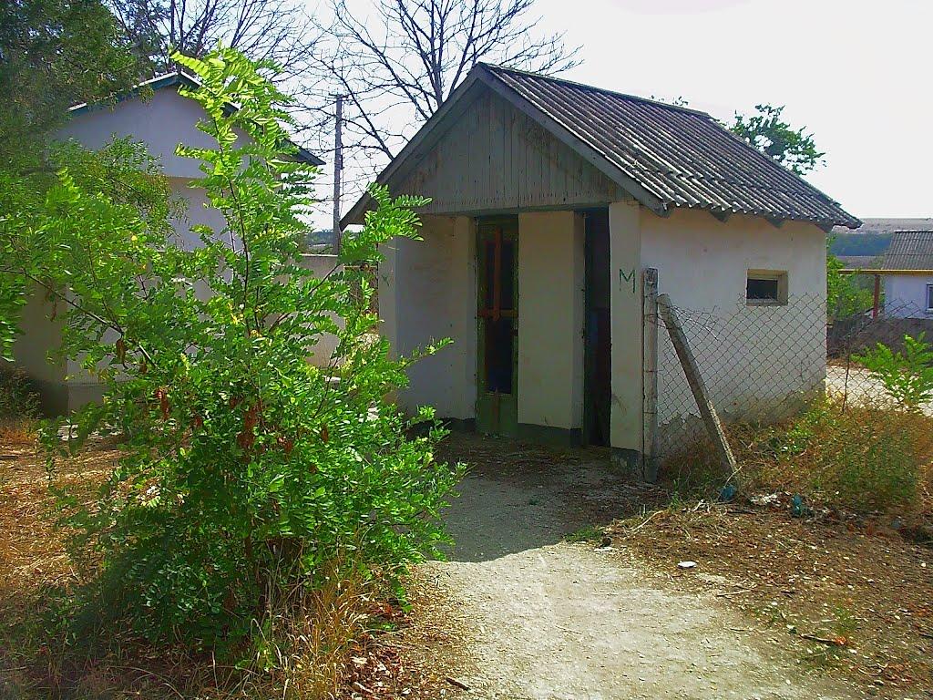 Шевченкове з panoramio.com - Шевченково