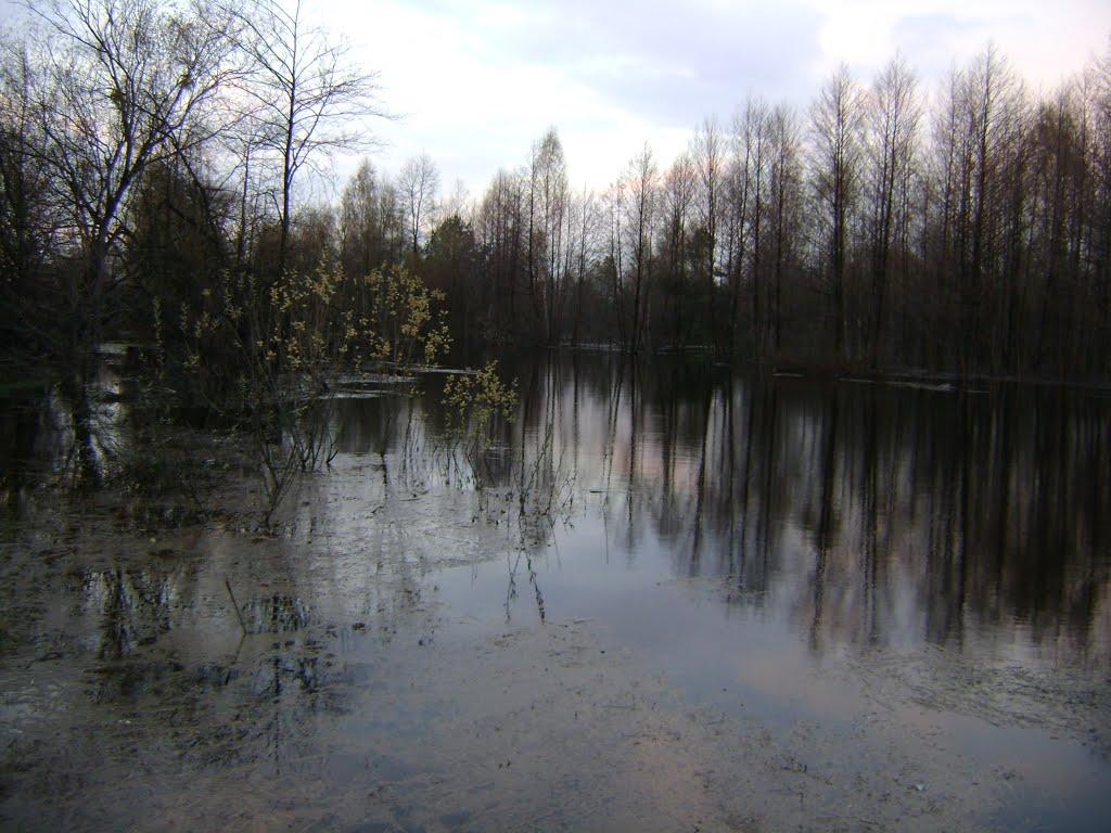 Прохорів з panoramio.com - Прохорів