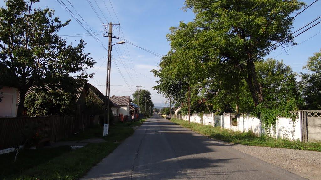 Великий Бичків з panoramio.com - Великий Бычков