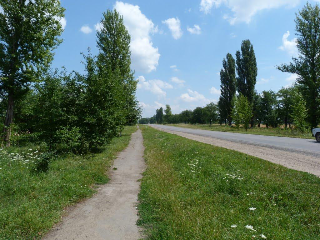 Роздолівка з panoramio.com - Роздолівка