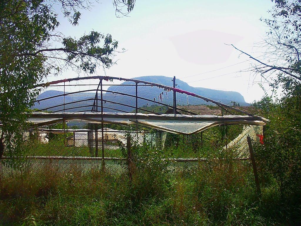Плотинне з panoramio.com - Плотинное