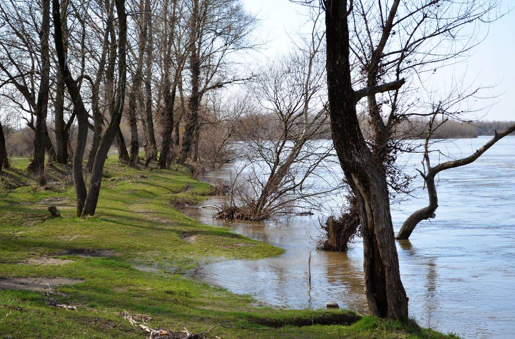 Гетиня з panoramio.com - Гетиня