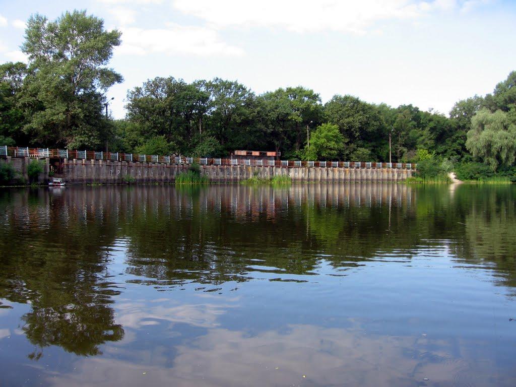 Кияшки з panoramio.com - Кияшки