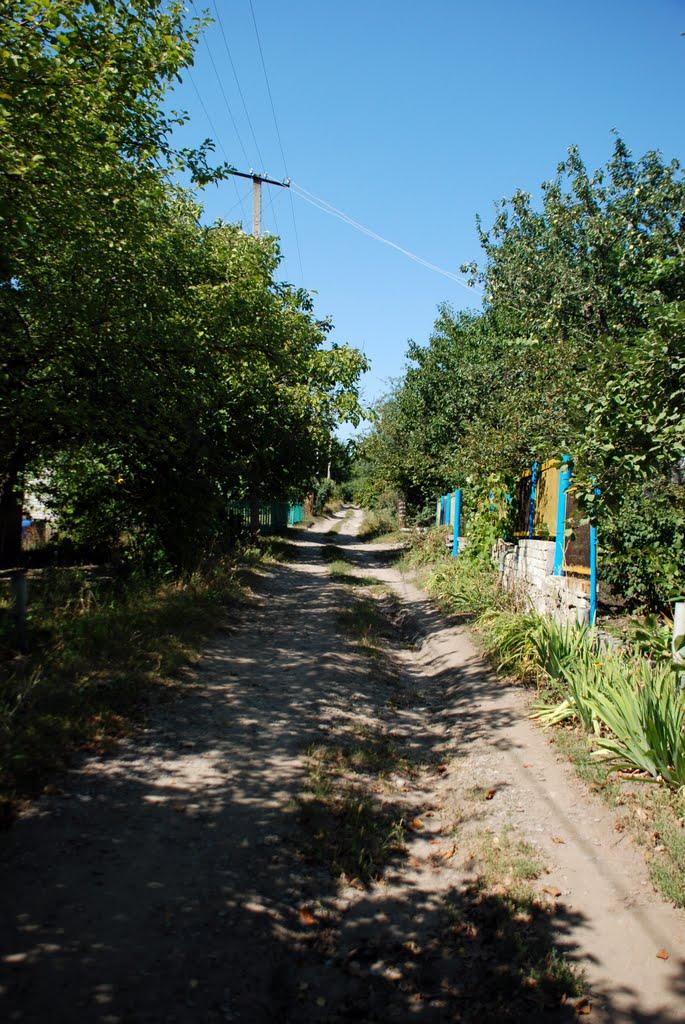 Балаклія з panoramio.com - Балаклея