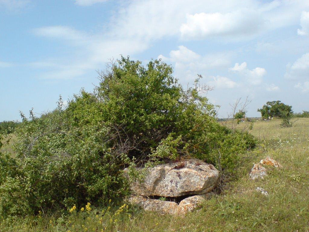 Барабанове з panoramio.com - Барабанове