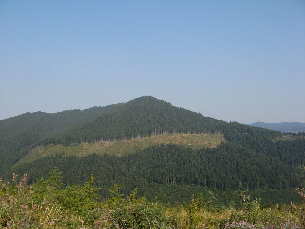 Долішній Шепіт з panoramio.com - Долишний Шепот