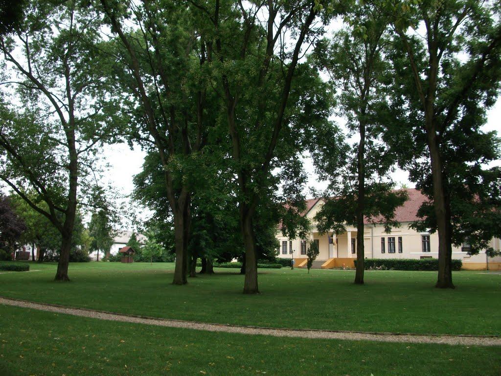 Астей з panoramio.com - Астей