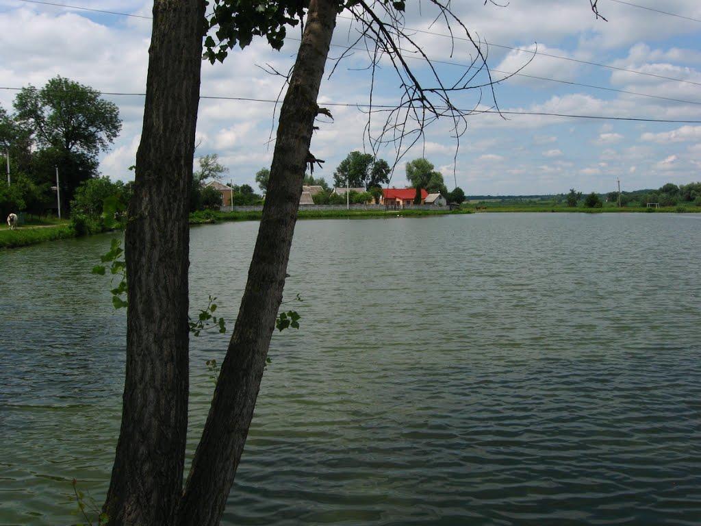 Пустомити з panoramio.com - Пустомити